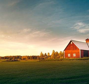 summer-field-with-red-barn