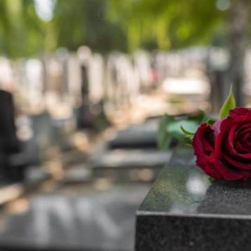 red-rose-flower-on-a-grave-in-a-cemetery