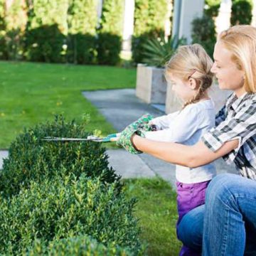 mother-daughter-woman-yard-garden