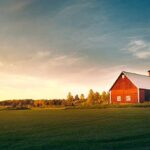 summer-field-with-red-barn
