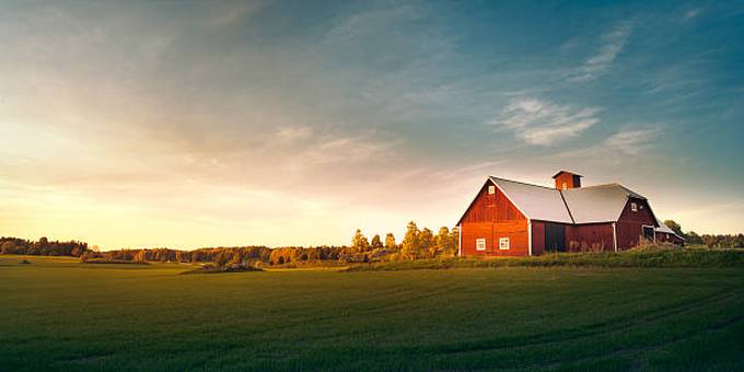 summer-field-with-red-barn